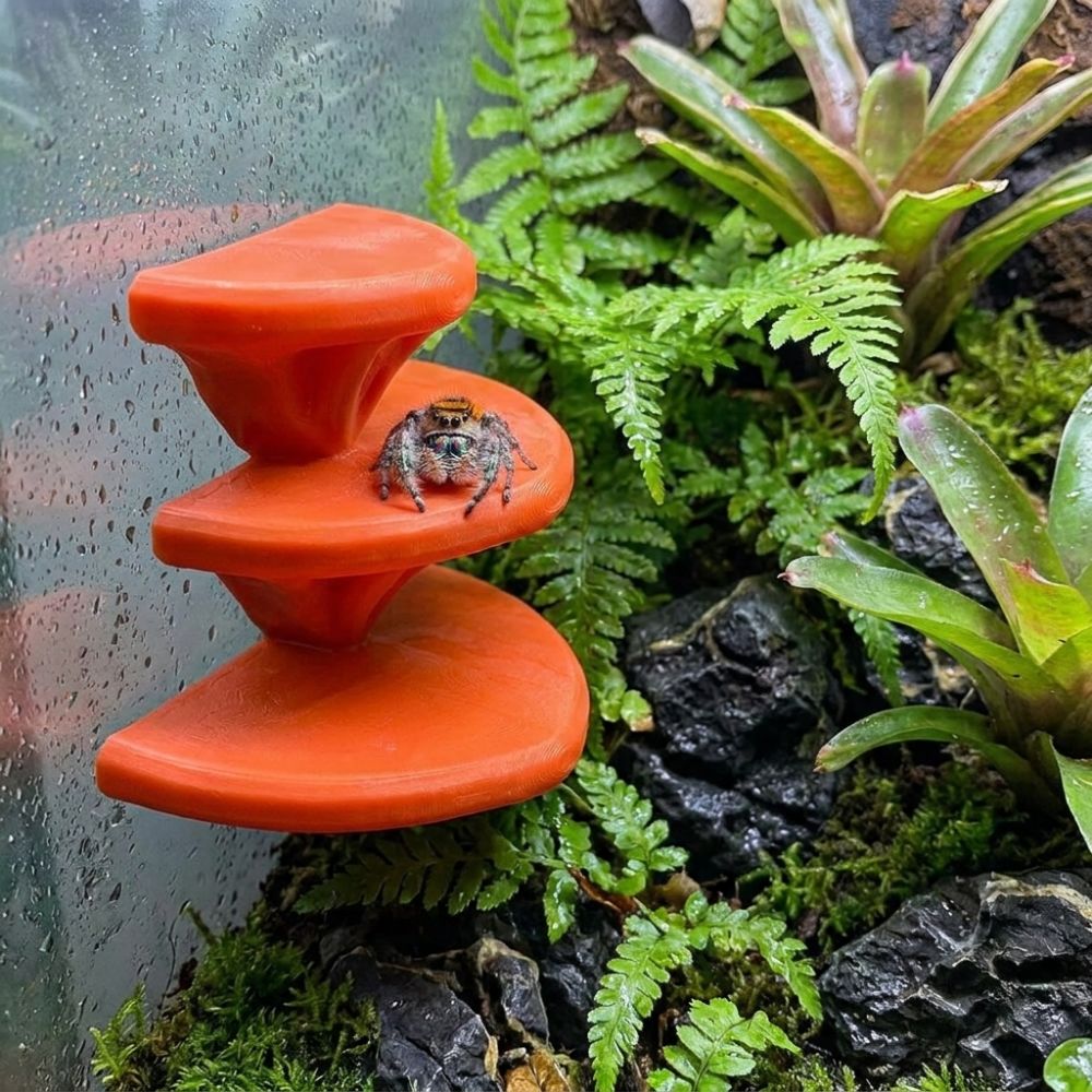 3Dプリントされたきのこ型ペット用クライミングプラットフォー - 3D Printing Lizard のレビューと価格