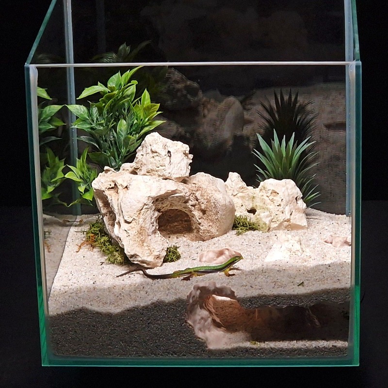 3Dプリント製水槽トンネルシェルター水槽装飾爬虫類隠れ家洞窟 - 3D Printing Lizard のレビューと価格