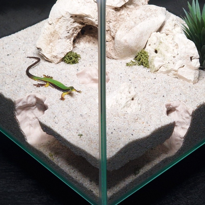 3Dプリント製水槽トンネルシェルター水槽装飾爬虫類隠れ家洞窟 - 3D Printing Lizard のレビューと価格